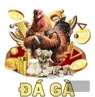 Blog gh88